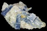 Vibrant Blue Kyanite Crystals In Quartz - Brazil #118854-1